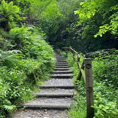 Storico In Anni '30 - Vicino Al Centro *