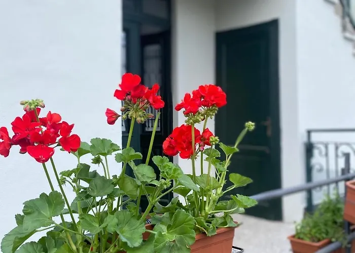 Storico In Anni '30 - Vicino Al Centro Lägenhet *