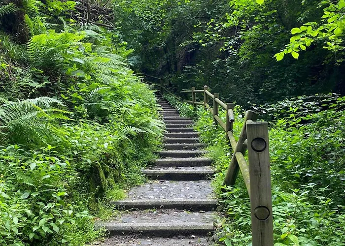Storico In Anni '30 - Vicino Al Centro *
