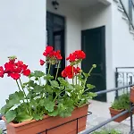 Storico In Anni '30 - Vicino Al Centro Apartment *